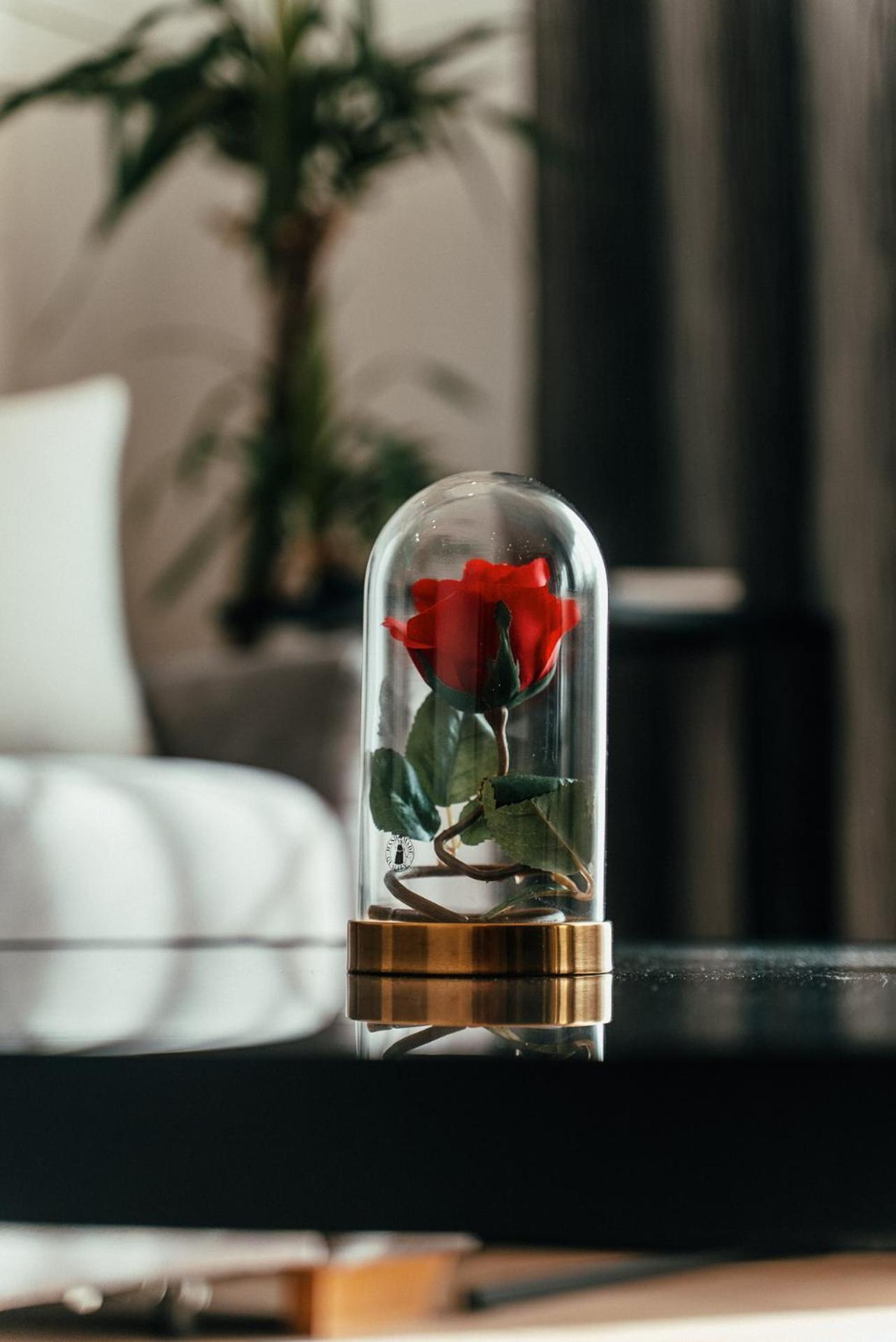 Biarritz Luxury Apartments بلغراد المظهر الخارجي الصورة